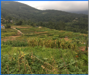 Inspire Munnar Holidays - Munnar