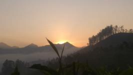 Munnar Viators - Munnar