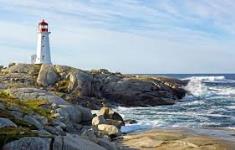 Golden Travels - Munnar