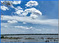 Trackfinder Adventures - Munnar