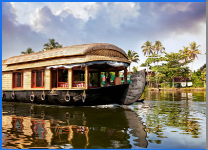 Rize Again Tours & Travels - Munnar