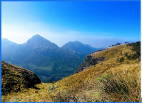 Kestrel Adventures and Holidays - Munnar