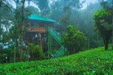 Kerala Leisure Holidays - Munnar