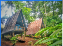 Rengha Holidays - Munnar