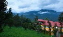 Dream Holidays - Munnar