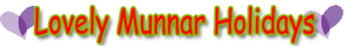 Lovely Munnar Holidays - Munnar