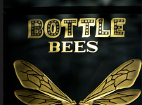 Bottle Bees - Thoraipakkam - Chennai