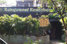 Rainforest Resto Bar - Kharghar - Navi Mumbai