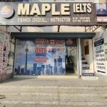 Maple Ielts Institute - Feroze Gandhi Market - Ludhiana