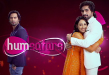 Humsafars