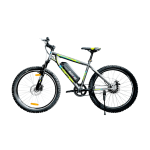 BattRE Electric Newtron