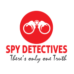Spy Detectives