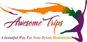 Awesome Trips - Delhi