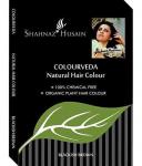 Shahnaz Husain Colourveda Hair Colour