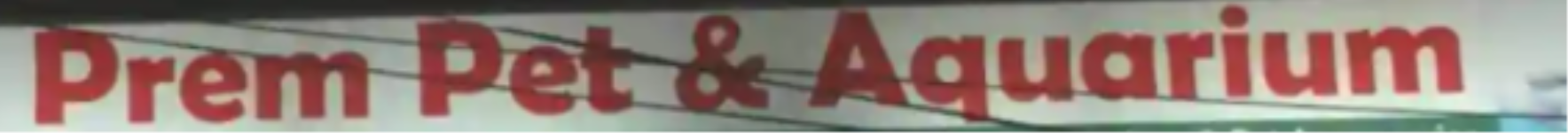Prem Pet & Aquarium - Malviya Nagar - Delhi