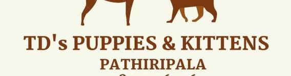 TDS Puppies Kittens - Pathripala