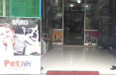 Pet Fort - Shornur Road
