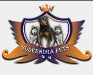 Sudeendra Pets - Vijaynagar