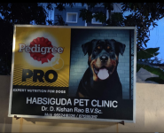 Habsiguda Pets Clinic - Laxmi Nagar