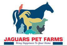 Jaguars Pet Farms - Mira Road