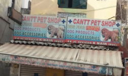 Cantt Pet Care - Hanuman Chowk
