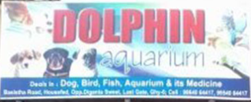 Dolphin Aquarium Pet Shop - Dispur - Guwahati