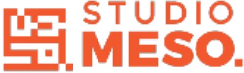 Studio Meso - Anand Vihar - Delhi