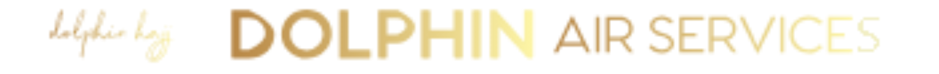 Dolphin Air Service -Tiruchirappalli - Tamil Nadu