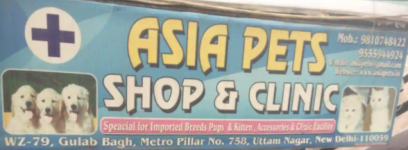 Asia Pets Shop & Clinic - Uttam Nagar - Delhi