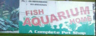 Fish Aquarium Home - Saket - Delhi