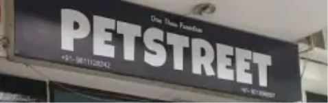 Pet Street - Main Road - Ghaziabad