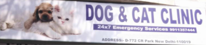 The Pet Point - Punjabi Bagh - Delhi