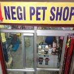 Negi Pet Shop - Khanpur - Delhi