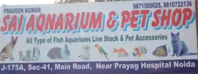 Sai Aquarium & All Pet Facilities - Sector 41 - Noida