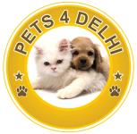 Pets4delhi - Madangir - Delhi