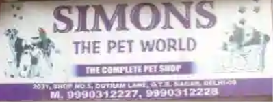 Simons The Pet World - Kingsway Camp - Delhi