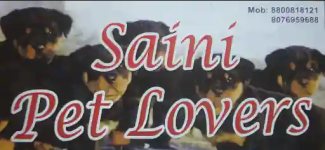 Saini Pet Lovers - Geeta Colony - Delhi