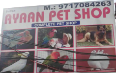 Ayaan Pet Shop - Maujpur - Delhi