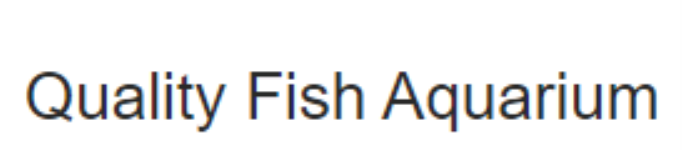 Quality Fish Aquarium - - Faridabad