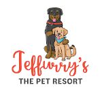 Jeffurry s - The Pet Resort - Mundka Industrial Area - Delhi