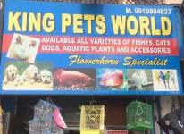 King Pets World - Janakpuri - Delhi