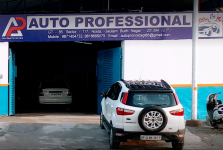 Auto Professional - Sector 117 - Noida