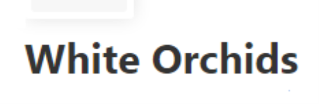 White Orchids - Thoraipakkam - Chennai