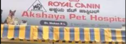 Akshaya Pet Hospital - Mathikere - Bengaluru
