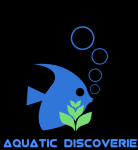 Aquatic Discoveries Aqua Pet Shop - Banashankari - Bengaluru