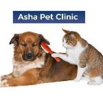 Asha Pet Clinic - Cauvery Layout - Bengaluru