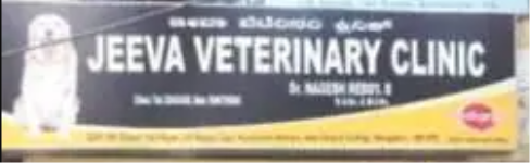 Jeeva Pet Hospital - JP Nagar - Bengaluru