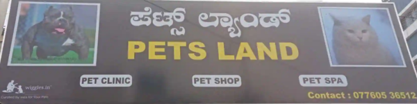 Pets Land - Dodda Banaswadi - Bengaluru