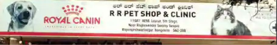RR Petshop & Clinic - Rajarajeshwari Nagar - Bengaluru