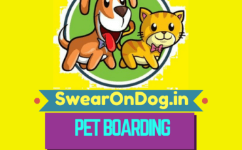 Swearondog.in - Electronic City - Bengaluru